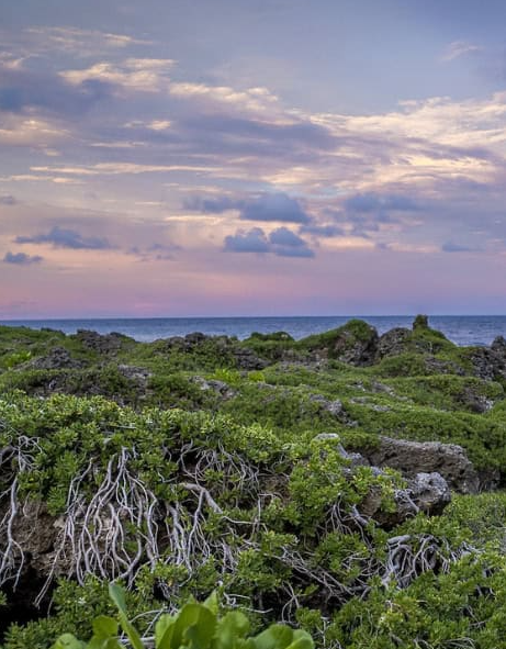 Guam