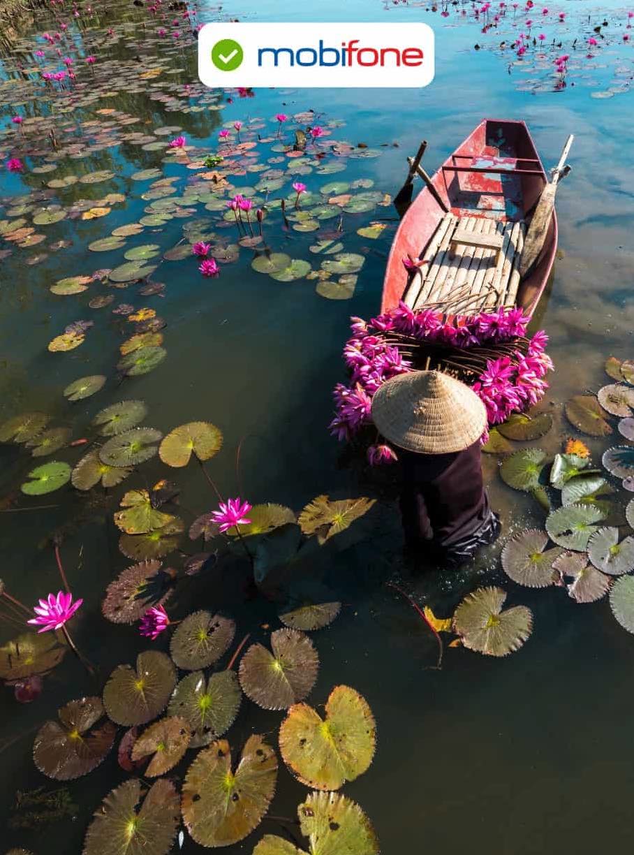 Vietnam MobiFone